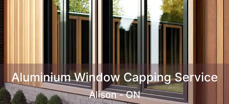  Aluminium Window Capping Service Alison - ON