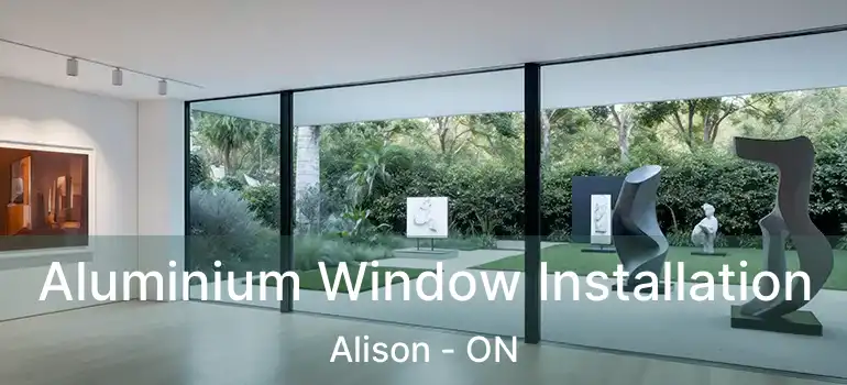  Aluminium Window Installation Alison - ON