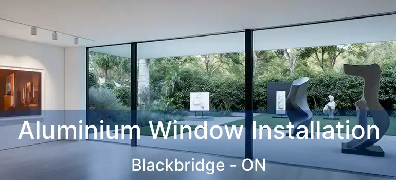  Aluminium Window Installation Blackbridge - ON