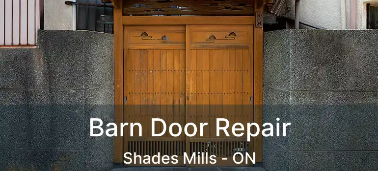  Barn Door Repair Shades Mills - ON