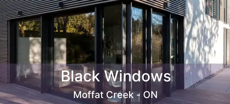 Black Windows Moffat Creek - ON