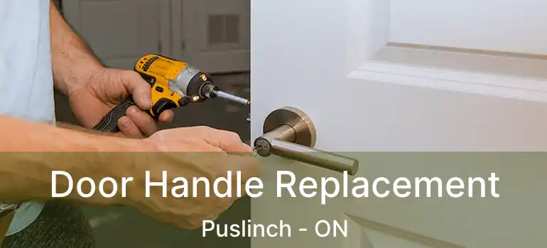 Door Handle Replacement Puslinch - ON