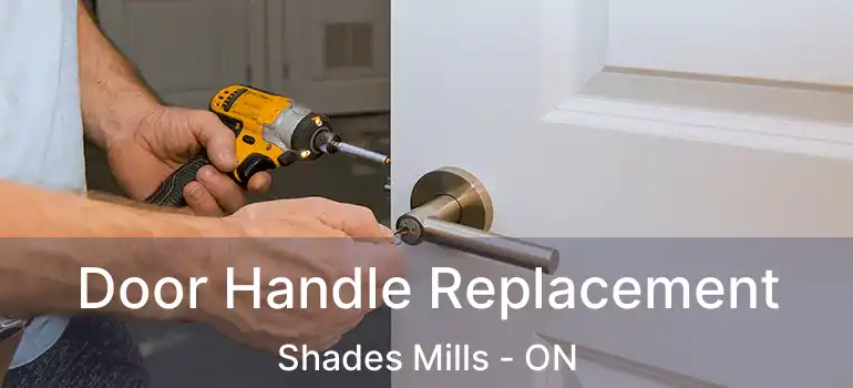 Door Handle Replacement Shades Mills - ON