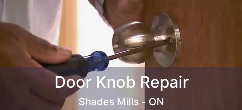  Door Knob Repair Shades Mills - ON
