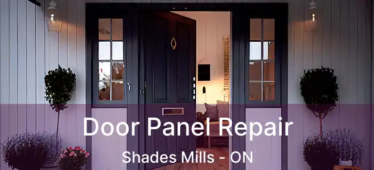  Door Panel Repair Shades Mills - ON