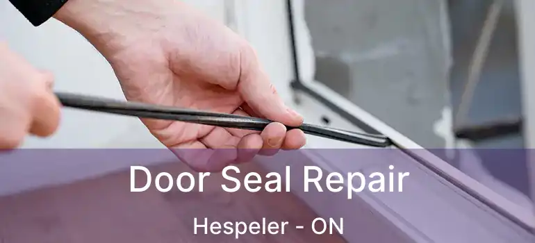  Door Seal Repair Hespeler - ON