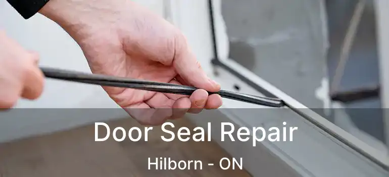  Door Seal Repair Hilborn - ON