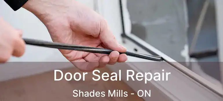  Door Seal Repair Shades Mills - ON