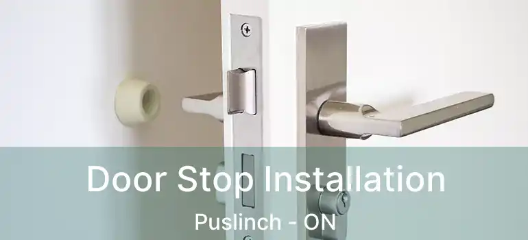 Door Stop Installation Puslinch - ON