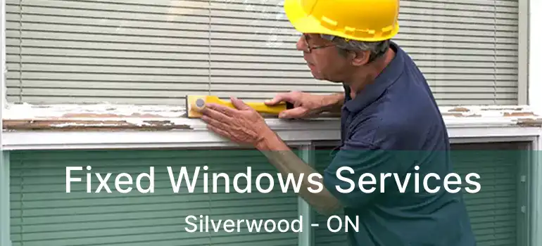  Fixed Windows Services Silverwood - ON