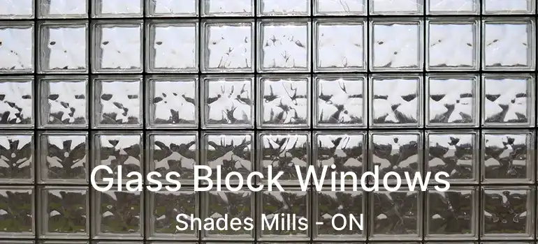  Glass Block Windows Shades Mills - ON