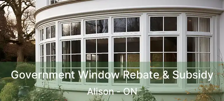  Government Window Rebate & Subsidy Alison - ON