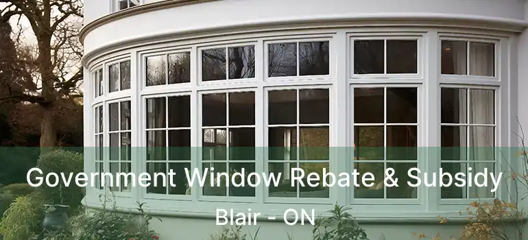  Government Window Rebate & Subsidy Blair - ON