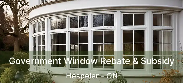  Government Window Rebate & Subsidy Hespeler - ON
