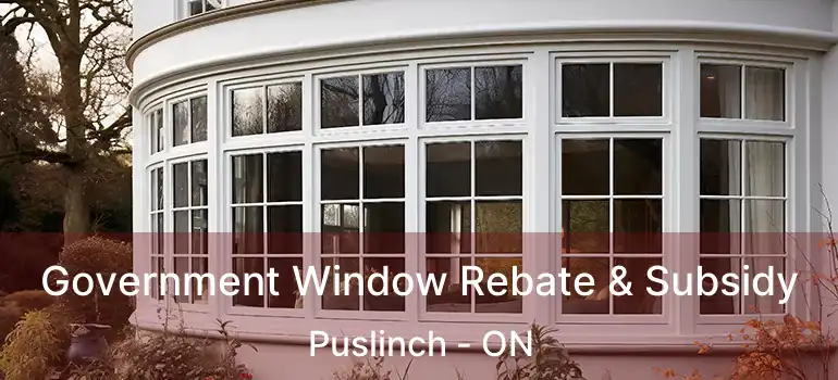  Government Window Rebate & Subsidy Puslinch - ON