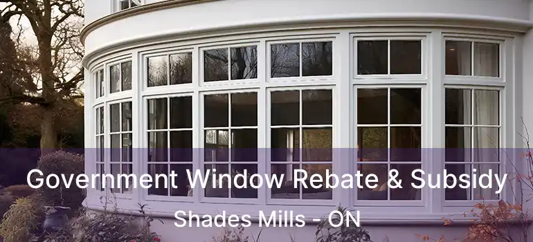 Government Window Rebate & Subsidy Shades Mills - ON