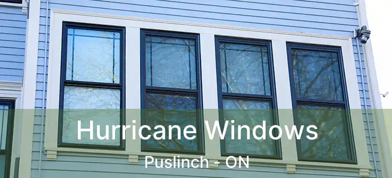 Hurricane Windows Puslinch - ON