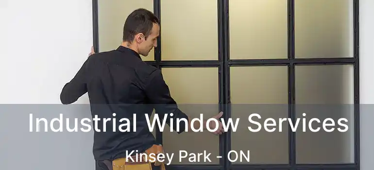 Industrial Window Services Kinsey Park - ON