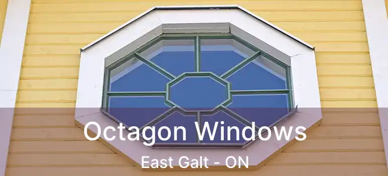  Octagon Windows East Galt - ON