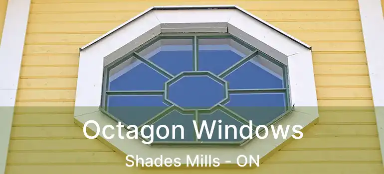  Octagon Windows Shades Mills - ON