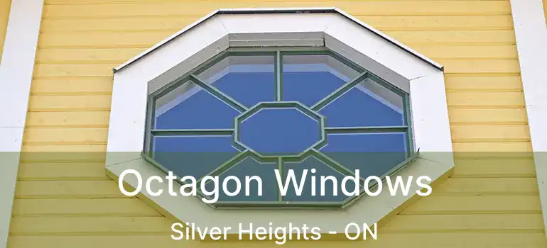  Octagon Windows Silver Heights - ON