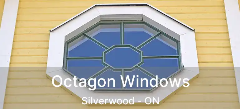  Octagon Windows Silverwood - ON