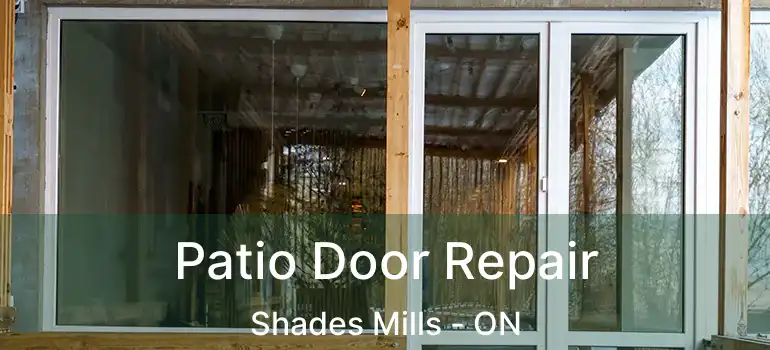  Patio Door Repair Shades Mills - ON