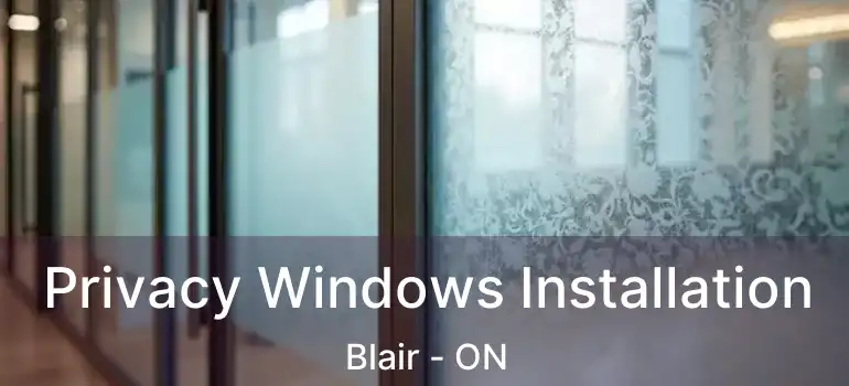 Privacy Windows Installation Blair - ON