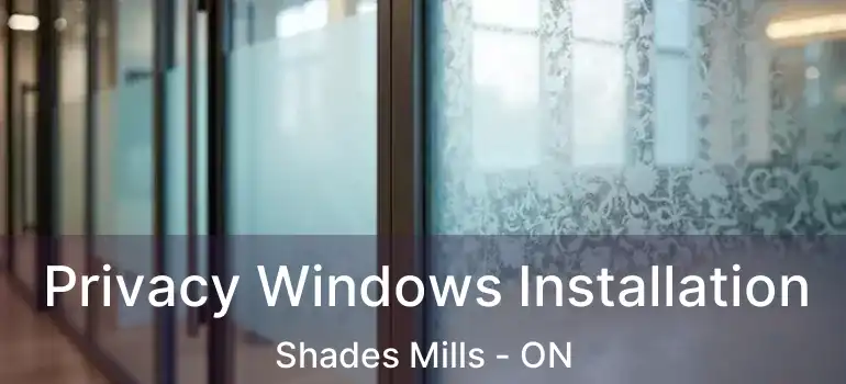 Privacy Windows Installation Shades Mills - ON