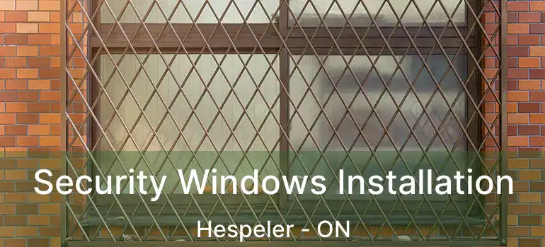 Security Windows Installation Hespeler - ON