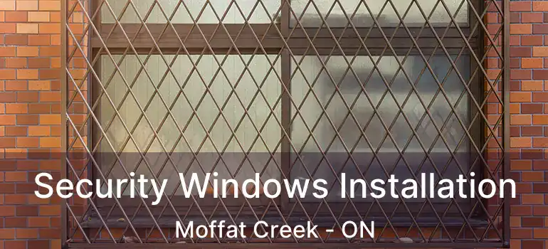  Security Windows Installation Moffat Creek - ON