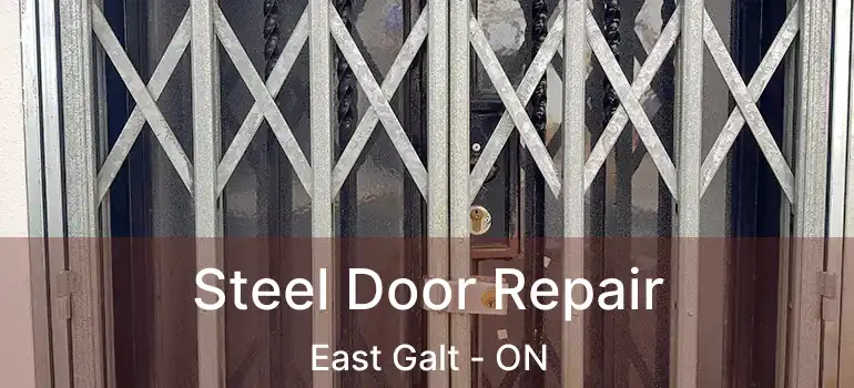 Steel Door Repair East Galt - ON