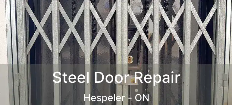 Steel Door Repair Hespeler - ON