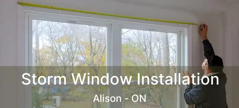 Storm Window Installation Alison - ON