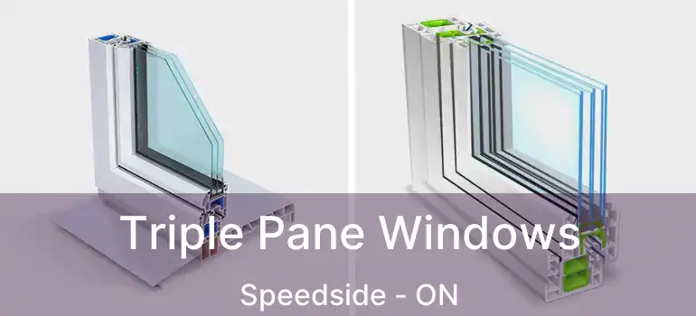Triple Pane Windows Speedside - ON