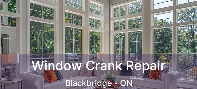 Window Crank Repair Blackbridge - ON