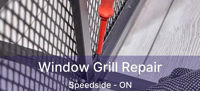 Window Grill Repair Speedside - ON