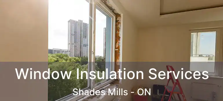 Window Insulation Services Shades Mills - ON