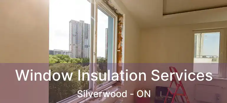 Window Insulation Services Silverwood - ON