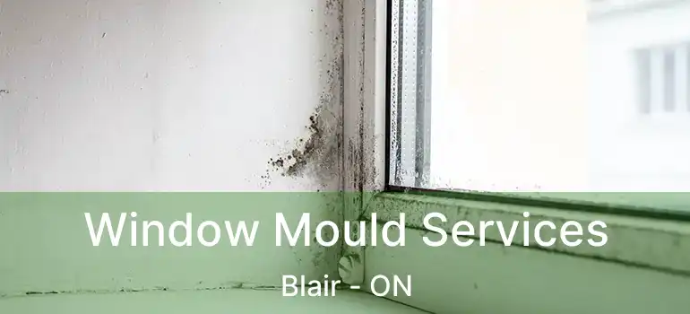 Window Mould Services Blair - ON