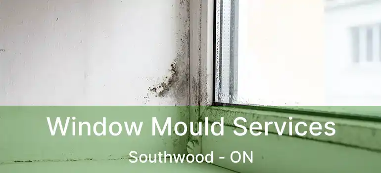 Window Mould Services Southwood - ON