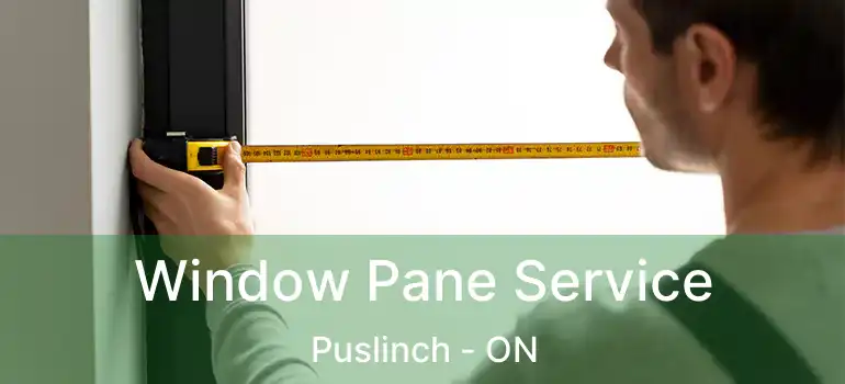  Window Pane Service Puslinch - ON