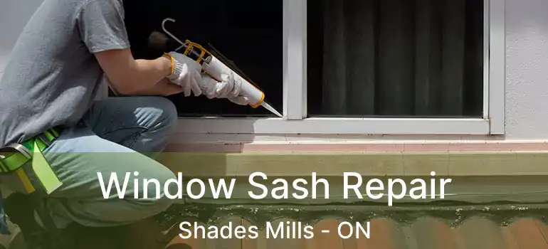 Window Sash Repair Shades Mills - ON