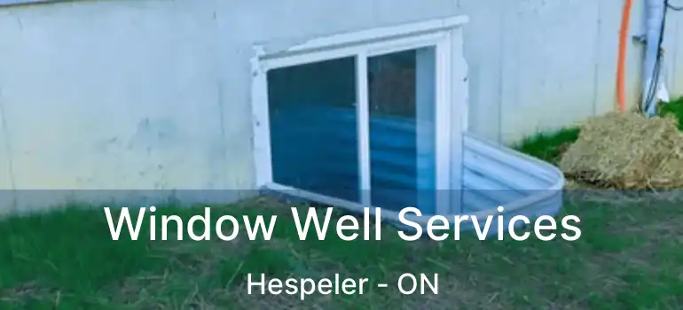 Window Well Services Hespeler - ON